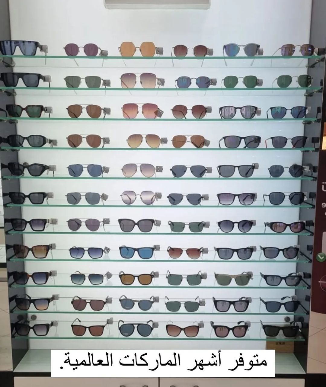 339650028_4472115816245391_465369282369392095_n