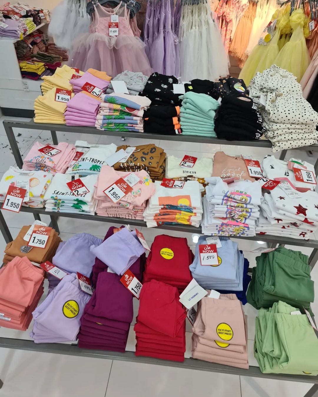 344510293_1291132415158282_1602813527880070275_n