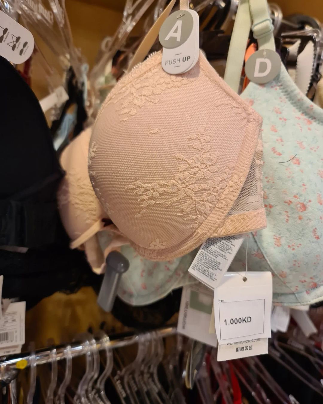 348474865_168932999201659_6597713125152000846_n