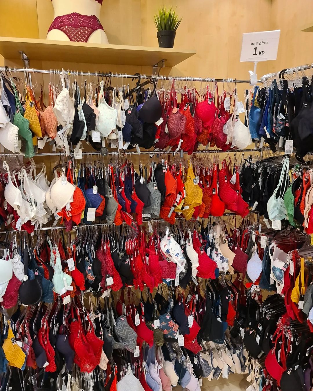 348858569_933052411262383_6323192601947817469_n