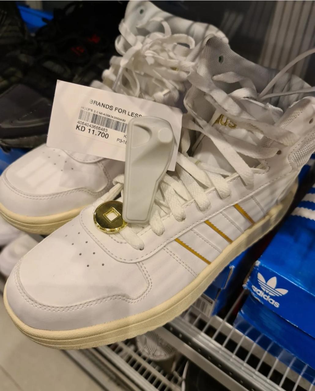 WhatsApp Image 2023-06-04 at 5.34.04 PM