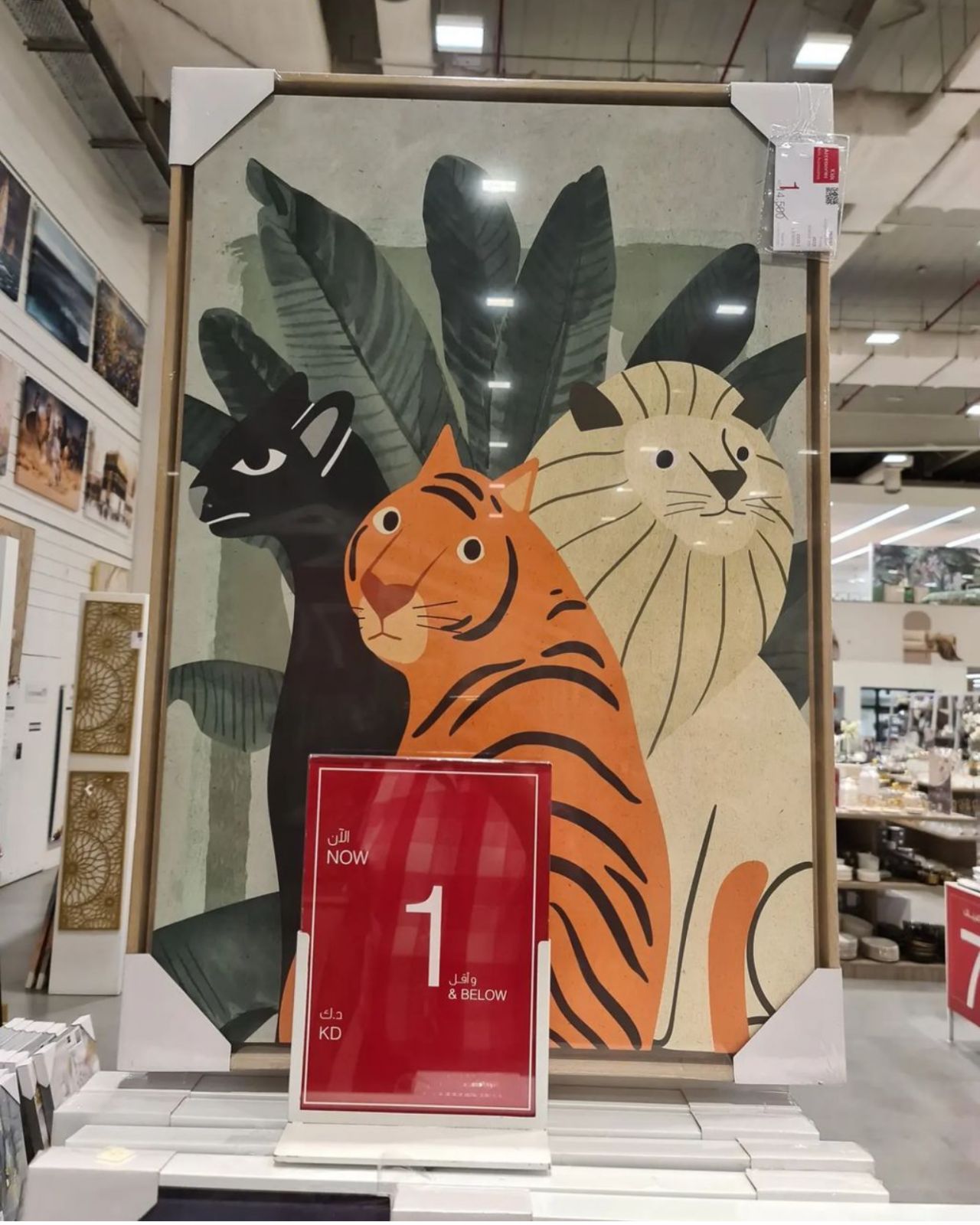 WhatsApp Image 2023-06-14 at 7.04.04 PM