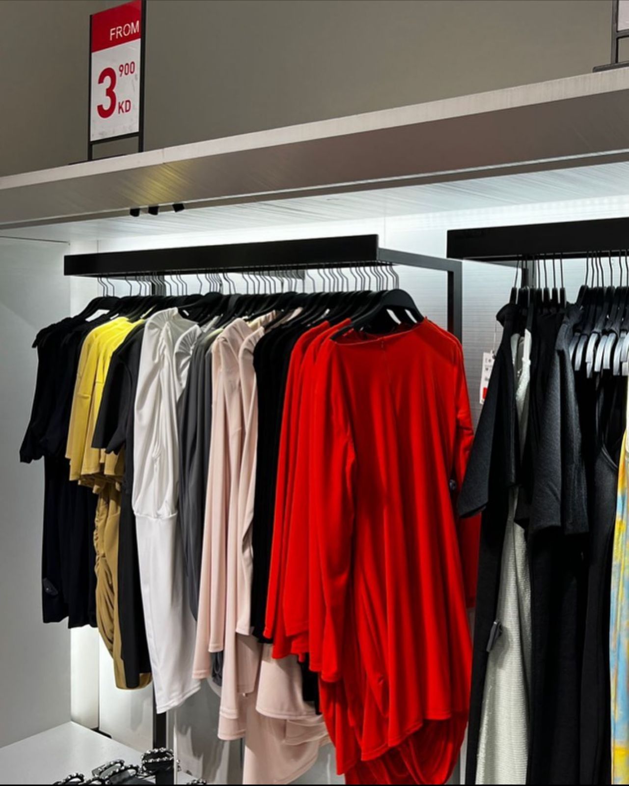 WhatsApp Image 2023-07-09 at 2.30.40 PM